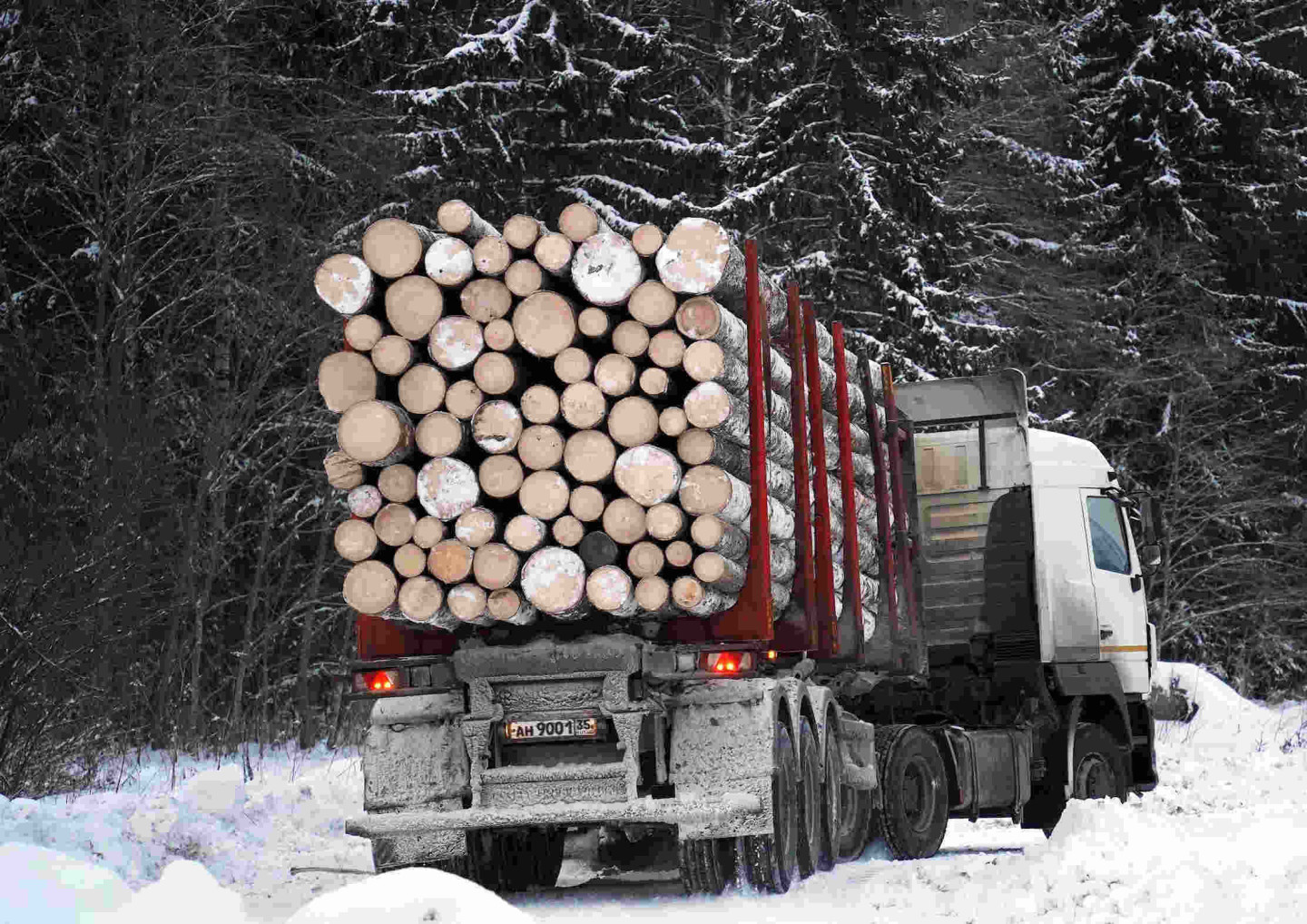 Lastwagen mit geladenen Baumstämmen