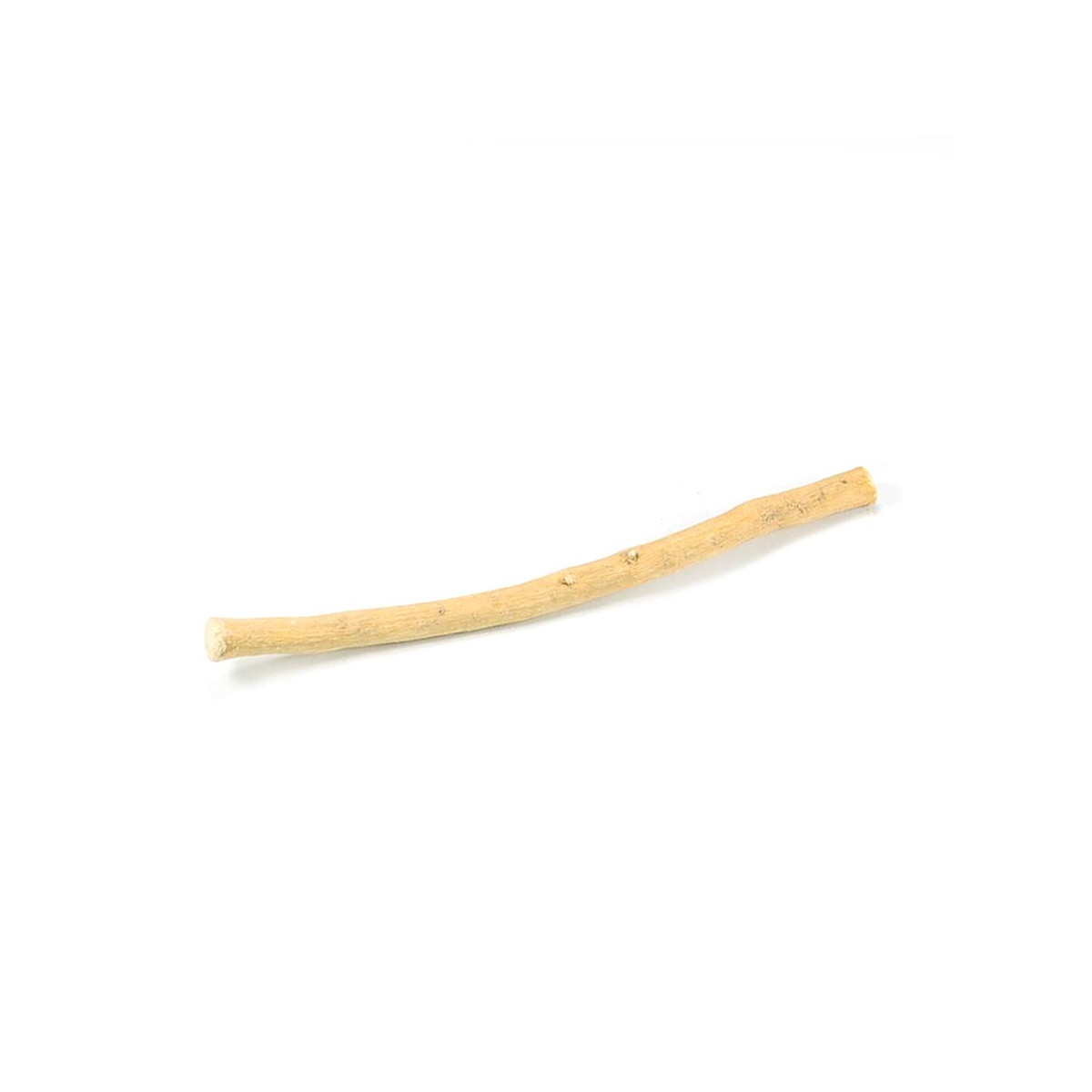 Miswak Zahnreinigungsholz