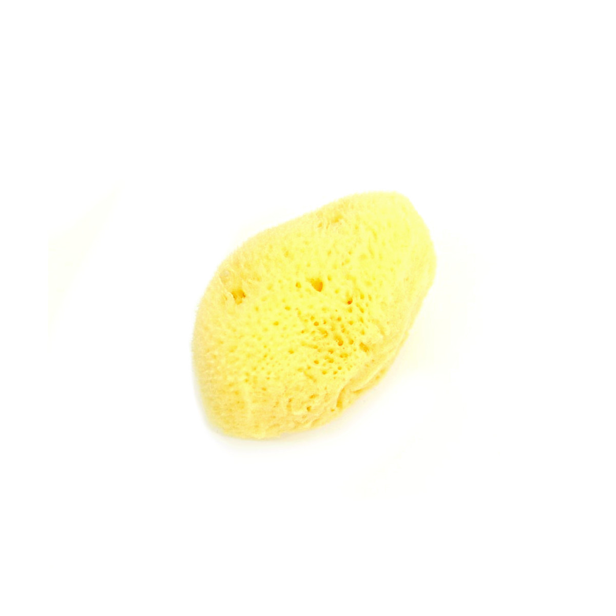 Menstruationsschwämmchen lose