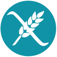 Mandel-Elisenlebkuchen natur vegan