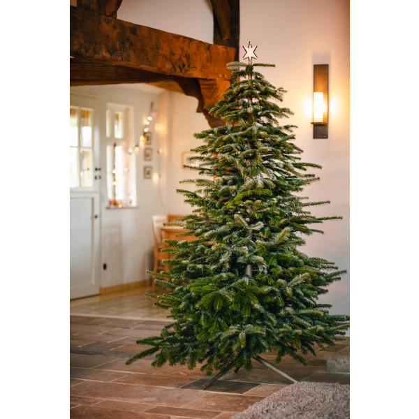 Keinachtsbaum Dein Weihnachtsbaumersatz