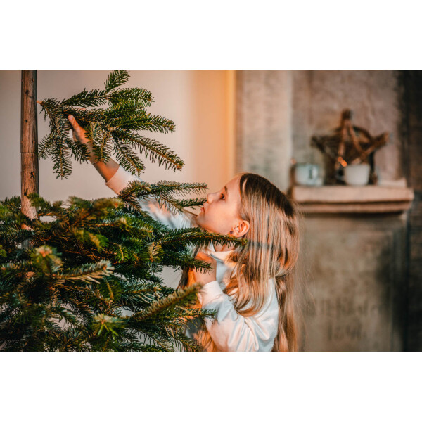 Keinachtsbaum Fix - Ausstellungsstück