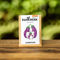 Saatgut Samenfest Aubergine Demeter