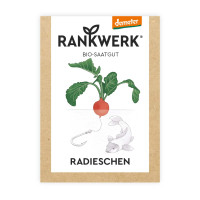 Saatgut Demeter Radieschen in der Papiertüte