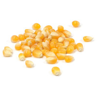Popcorn-Mais - DEL