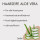 Haarseife Aloe Vera