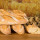 Baguette Traditional groß