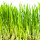 Weizengrassieb 23 cm antik-weiß - DEL
